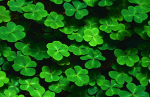 Le vendredi 13 symbolise pour beaucoup un jour noir, empli de mauvaises ondes et propice à la malchance.