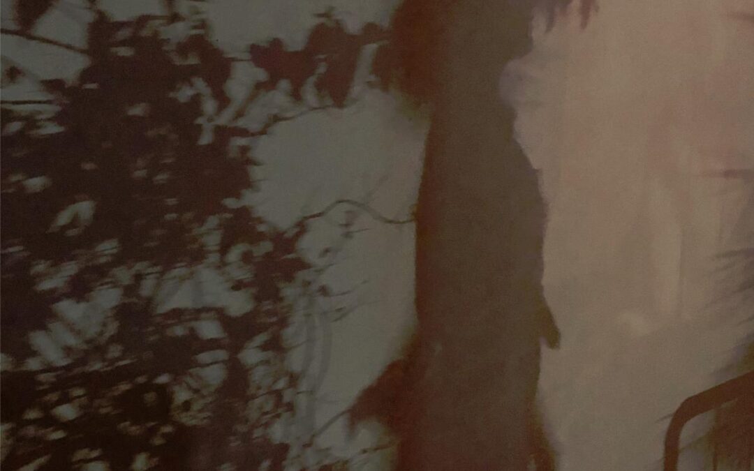 Les résultats concrets attendus d’une consultation de voyance privée