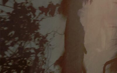 Les résultats concrets attendus d’une consultation de voyance privée