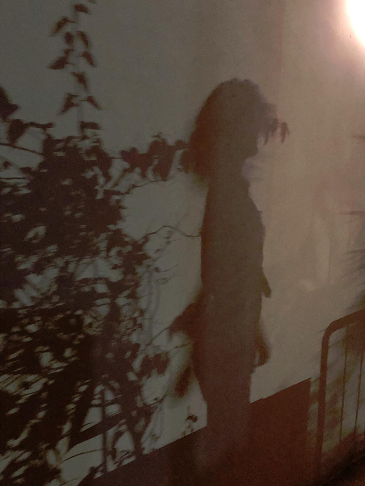 benefice voyance privee benefice voyance privee